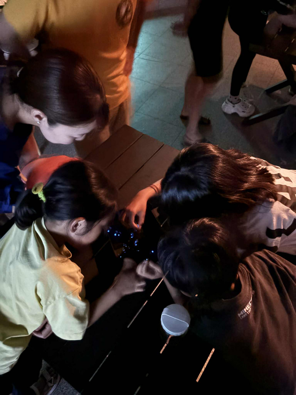 ウミホタルふれあい発光観察