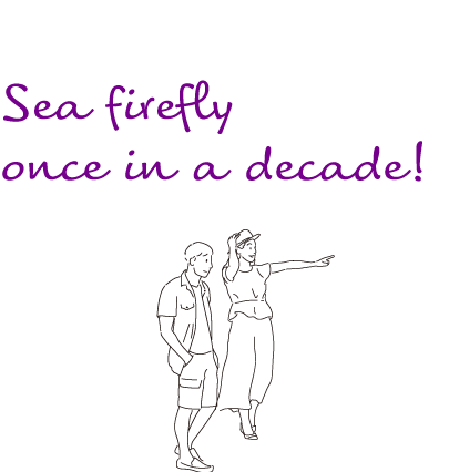 Sea firefly once in a decade!